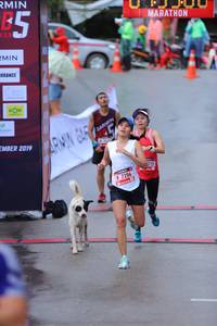 BIB: 2019, 215, 7206
                            <button type="button" onclick="openModal(5745790)" class="btn btn-primary btn-sm float-right btn-popup" data-toggle="modal" data-target=".modal-high-quality">
                        <i class="fas fa-shopping-cart"></i> Add to Cart
                    </button>
                                            <button type="button" onclick="isThisMe(5745790, true)" class="btn btn-success btn-sm float-right btn-popup btn-isme hidden" data-toggle="tooltip" data-placement="bottom" title="นี่คือรูปของคุณใช่ไหม คลิกที่นี่เพื่อเอาเข้าอัลบั้ม">
                        <i class="fas fa-plus"></i> Add to album
                    </button>
                    <button type="button" onclick="isThisMe(5745790, false)" class="btn btn-warning btn-sm float-right btn-popup btn-isnotme hidden">
                        <i class="fas fa-ban"></i> Remove from album
                    </button>